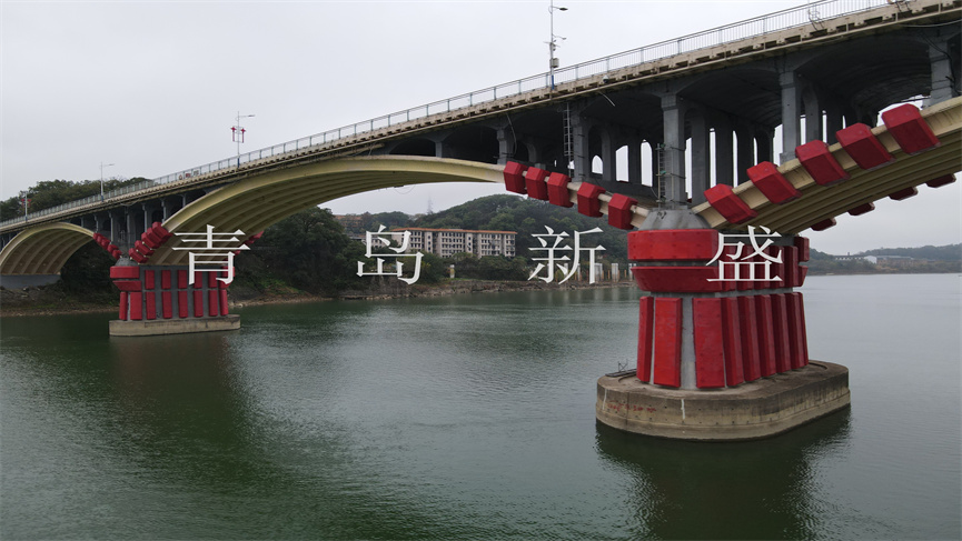 會(huì)龍山大橋  新盛固定式原圖 (115).jpg